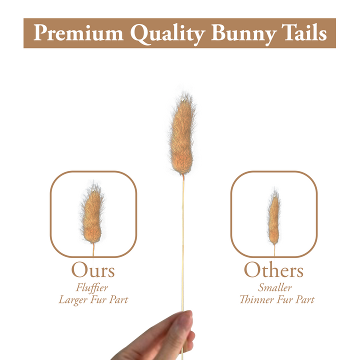 Bunny Tail Comparison with others