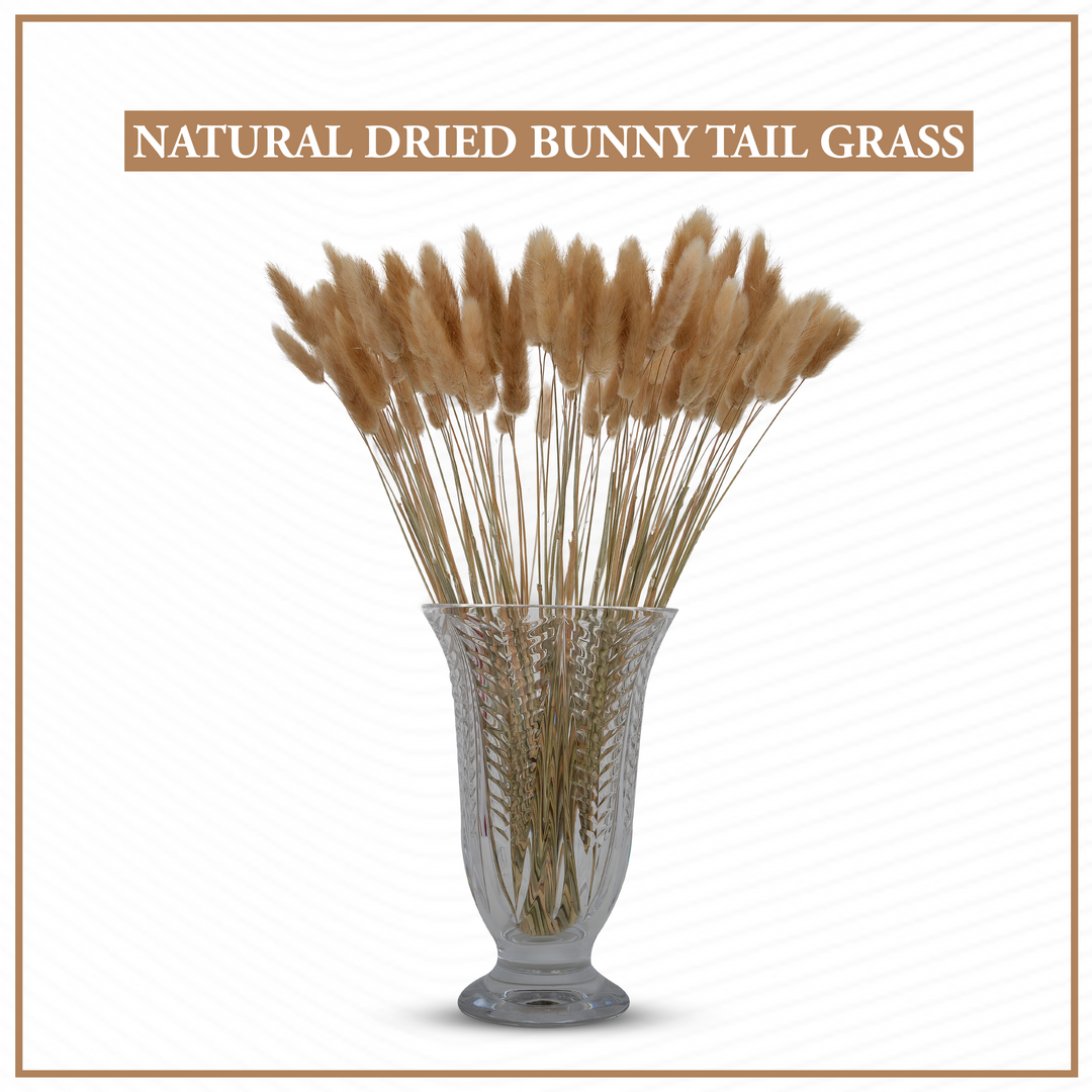 Natural Grass of Bunny Tail arrangment in a glass